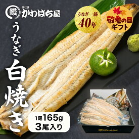 【敬老の日・ギフト】うなぎ白焼き 3人前 計495g 165g×3尾 かわはち屋 通常の1.5倍 大きめ満足サイズ 高評価レビュー うなぎ鰻ウナギ蒲焼専門店の味 贈り物 プレゼント ギフト お中元 内祝い 誕生日 お返し 送料無料 土用丑の日 父の日