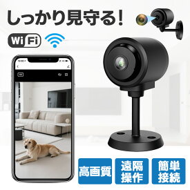 小型カメラ 防犯カメラ スマホ WIFI ワイヤレス コンセント USB カメラ 小型防犯カメラ 見守りカメラ 超広角 スマホ連動 遠隔監視 超軽型カメラ 128GB対応 長時間録画 防犯カメラ 高画質 MINIカメラ デジタルカメラ