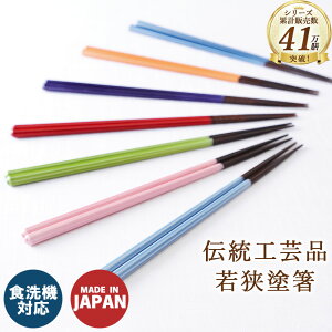 אĝ ɂۂ`F F ዷh H@Ή ׂ~߉H { 10FWJ 23cm lp F JC y͍쏊z אg p` Y JoLx  ͂ Ƒ