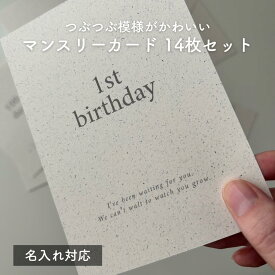 【レビュー特典付き】 つぶつぶ マンスリーカード 14枚セット 月齢カード ベビー just born 100日 ハーフバースデー 1歳 誕生日 成長記録 北欧デザイン 出産祝い 成長記録 フォトカード おしゃれ ギフト
