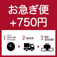 【お急ぎ便クーポン】（翌日到着・速達orレターパック配送）※商品と一緒に買い物かごに入れていただく必…