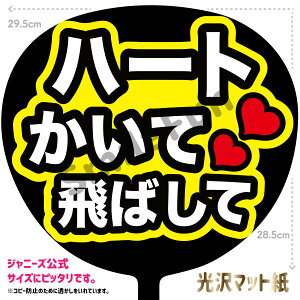 yJbgς݂핶zun[gĔ΂āvRT[g⃉CuAX|[cϐɎ艞Őt@T炨   t@T RT[