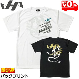 ハタケヤマ ウェア 野球 Tシャツ 半袖 限定 バックプリント HF-DT22 ホワイト／ブラック メール便送料無料