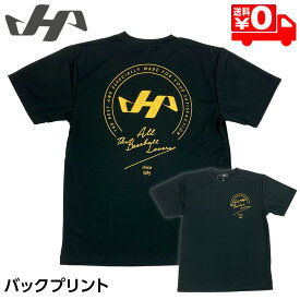 ハタケヤマ ウェア 野球 ベースボール ドライTシャツ 半袖 バックプリント HF-SDT24B ブラック メール便送料無料