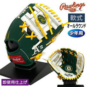 [OX  WjA O[u I[Eh I[NhAX`bNX 10C`Ou 싅 OAK10 E O[×zCg