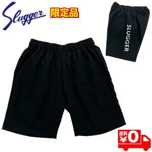 vۓcXbK[ EFA 싅 n[tpc  LT24-TW5 ubN [֑