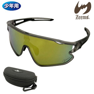 W[X TOX 싅 WjA ΌYTOX ZSW-500CLJ NA×S[h~[ pP[Xt Mtg v[g