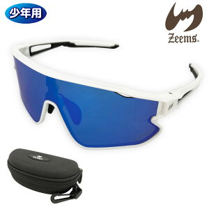 W[X TOX 싅 WjA ΌYTOX ZSW-500WHJ zCg×u[~[ pP[Xt Mtg v[g