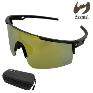 W[X TOX 싅 ΌYTOX ZSW-595BKG ubN×S[h~[ pP[Xt Mtg v[g