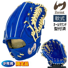 ジームス 軟式 ジュニア グローブ 少年用 オールラウンド 三方親 湯もみ型付け済 野球 限定品 大型 16DJN5 右投げ ブルー×キャメル