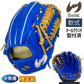 ジームス 軟式 ジュニア グローブ 少年用 オールラウンド 三方親 湯もみ型付け済 野球 限定品 大型 16DJN5 右投げ ブルー×タン