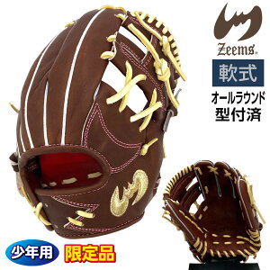 ジームス 軟式 ジュニア グローブ 少年用 オールラウンド 三方親 湯もみ型付け済 野球 限定品 大型 20DJN5 右投げ ブラウン×キャメル×ピンク糸