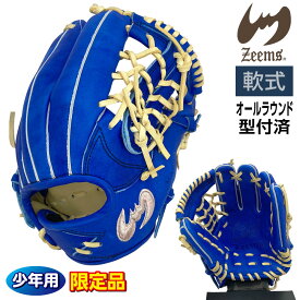 ジームス 軟式 ジュニア グローブ 少年用 オールラウンド 三方親 湯もみ型付け済 野球 限定品 中型 28CJN5 右投げ ブルー×キャメル