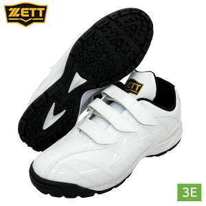 [bg V[Y 싅 g[jOV[Y tBGbg Ch L 3E BSR8017G zCg