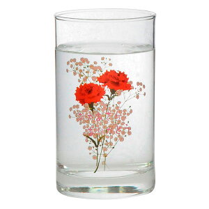 Fς⊴OX J[l[V 肪Ƃ 8IX^u[ 240ml  KX OX Rbv  ⊴ Fω ̓ v[g Mtg j r[ Ē MDK-TB-H