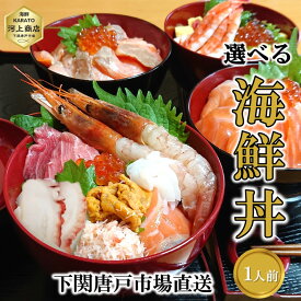 海鮮丼 セット 1人前 海鮮丼の具 自然解凍OK 4種から選べる 海鮮ちらし 炙りサーモン サーモン まぐろ エビ イカ うに イクラ カニ タコ 海鮮グルメ 御祝 お誕生日祝 プレゼント 御礼 年末年始 お歳暮 おせち料理 送料無料 下関唐戸市場