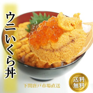 yhV̓ Mtgzɂ瘥 Zbg Ej CN Y Ej  ݖЂ 2lO 4lO CN hg  i 芪i ܂ ӎ  Ⓚ aj  