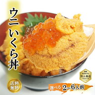 【要エントリー★最大100％Pバック】うにいくら丼 セット ウニ イクラ 無添加 生ウニ 鱒いくら醤油漬け …