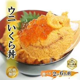 うにいくら丼 セット ウニ イクラ 無添加 生ウニ 鱒いくら醤油漬け 選べる 2人前 4人前 6人前 海鮮丼 刺身 いくら 握り寿司 手巻き寿司 おつまみ 晩酌 冷凍 お誕生日祝 御礼 お祝い ギフト プレゼント 入学 卒業 節分 送料無料