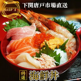 海鮮丼 セット 2人前 海鮮丼の具 冷凍 自然解凍OK 4種から選べる ちらし丼 炙りサーモン丼 サーモン丼 まぐろ アカエビ イカ うに イクラ カニ ホタテ 海鮮グルメ 盛り付けるだけ お取り寄せ お誕生日 プレゼント 送料無料 下関唐戸市場 母の日 父の日 御祝 ギフト 贈答品