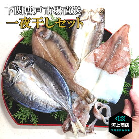 下関唐戸市場 直送 干物 一夜干し セット 国産 天然 送料無料 海鮮セット 海鮮ギフト プレゼント あじ いか かます ささがれい 厳選BBQ 海鮮 グルメ 詰め合わせ 贈答品 山口県 唐戸市場 河上商店