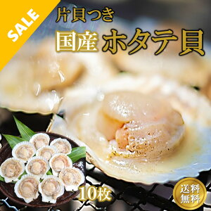 yVX[p[SALEIz^e BBQ ق kt  ЊL 10 kCY  Ⓚ Mp Ɩp   p CN BBQ o[xL[ CNĂ Lv OsO S