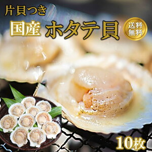 z^e BBQ ق kt  ЊL 10 kCY  Ⓚ Mp Ɩp   p CN BBQ o[xL[ CNĂ Lv OsO SĂ O p[