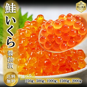  ݖЂ  CN 嗱  250g 500g 1000g 1500g 2000g ikura Ⓚ   CNMtg 瘥 R 芪 炵 CN il^ Mtg j  aj v[g 