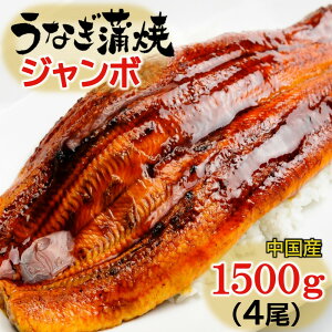 Ȃ V W{ EiM Ă  V̊ 4 1500g TCY 1 390g e ȂĂ Ȃ̊ Y yp̉N ⓀHi aj j A hV̓ Mtg 