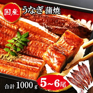 Ȃ Y V EiM Ă  V̊ 1000g 5 ZbgTCY e ȂĂ yp̉N̓ Ȃ̊ Y 蕨 LO aj j A  hV̓ v