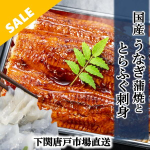 _yVX[p[SALEI^Ȃ Y V EiM Ă  V̊ 160g O Ƃӂ Ă ӂh Zbg fugu ȂĂ L Ȃ unagi yp̉N Mtg aj j  v