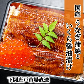 母の日ギフト2026 うなぎ 国産 鰻 ウナギ 鰻の蒲焼 160g いくら醤油漬け セット うなぎ蒲焼き 鹿児島産 うなぎ蒲焼 有頭 うなぎ 土用の丑 食品 ギフト 贈り物 記念日 お誕生日祝い 御礼 お祝 入学 プレゼント 贈答品 送料無料