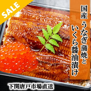 _yVX[p[SALEI^Ȃ Y V EiM V̊ 160g ݖЂ Zbg ȂĂ Y Ȃ yp̉N Hi Mtg 蕨 LO aj  j Ε v