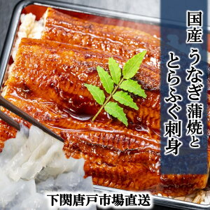Ȃ Y V EiM Ă  V̊ 160g O Ƃӂ Ă ӂh Zbg fugu ȂĂ unagi yp̉N Mtg hV̓ aj j  v[g i O 