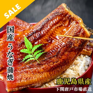 _yVX[p[SALEI^Y ȂĂ L V EiM  Y  3,501~` unagi IׂTCY 160g 180g 200g Zbg 1 2 ^R Hו̐ LO aj v