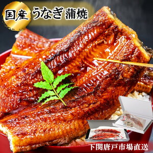 YȂ  3,890~` ȂĂ V EiM  Y unagi IׂTCY 160g 180g 200g Zbg 1 2 ^R Hו̐ 蕨 LO aj v[g j
