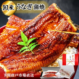ポイント10倍！【お中元 ギフト】うなぎ 国産 鰻 ウナギ 蒲焼き 蒲焼 鰻の蒲焼 160g～200g 前後 特大サイズ うなぎ蒲焼き うなぎの蒲焼 土用の丑 鹿児島産 贈り物 記念日 お誕生日祝 御祝 ご挨拶 お礼 敬老の日 プレゼント 贈答品 送料無料