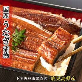 国産 うなぎ蒲焼き 有頭 鰻 ウナギ 蒲焼 鹿児島産 送料無料 3,890円～ unagi 選べるサイズ 160g 180g 200g セット 1尾 2尾 タレ＆山椒 食べ方の説明書同封 うなぎ 土用の丑 記念日 お誕生日祝 プレゼント 御祝 ご挨拶 お礼 父の日 お中元 ギフト