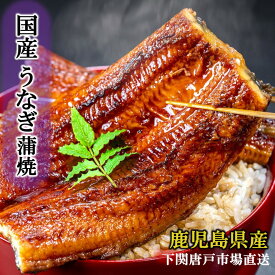 ＼夏 ギフト お中元 ポイント／ 国産 うなぎ蒲焼き 有頭 鰻 ウナギ 蒲焼 鹿児島産 送料無料 unagi 選べるサイズ 160g 180g 200g セット 1尾 2尾 タレ＆山椒 説明書同封 うなぎ 土用の丑 記念日 お誕生日祝 プレゼント 御祝 ご挨拶 お礼