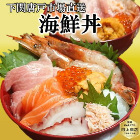 海鮮丼 セット 2人前 送料無料 選べる丼 海鮮丼の具 個包装 冷凍 海鮮ちらし 炙り サーモン 4色丼 海鮮グルメ 刺身 マグロ うに いくら サーモン 8種ネタ ギフト 贈答 お祝い お誕生日祝 御礼 プレゼント 贈答品 お歳暮 おせち料理 年末年始 下関唐戸市場直送