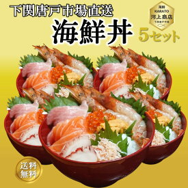 海鮮丼 冷凍 5個 セット 海鮮 8種盛り 海鮮丼の具 刺身 マグロ 海鮮詰め合せ セット グルメ ギフト お誕生日祝 プレゼント お祝い 御礼 お歳暮 おせち料理 年末年始 お取り寄せ 冷凍 送料無料 下関唐戸市場