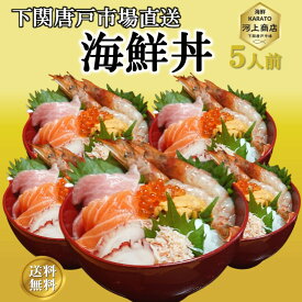 海鮮丼 冷凍 5個 セット 海鮮 8種盛り 海鮮丼の具 刺身 マグロ 海鮮詰め合せ セット グルメ ギフト お誕生日祝 プレゼント お祝い 御礼 お歳暮 おせち料理 年末年始 お取り寄せ 冷凍 送料無料 下関唐戸市場