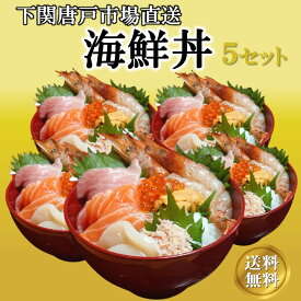 海鮮丼 5個 セット 海鮮 8種盛り 海鮮丼の具 冷凍 刺身 マグロ まぐろ サーモン うに いくら ホタテ アカエビ イカ かに 海鮮詰め合せ セット グルメ ギフト お誕生日 プレゼント 母の日 父の日 お取り寄せ 冷凍 送料無料 5人前 自然解凍OK 下関唐戸市場 直送 河上商店