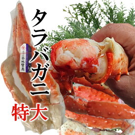 特大 タラバガニ 2kg 1肩 ボイル カニ かに 蟹 たらばがに 茹で 足 脚 国内加工 築地蟹商 グルメ ギフト 贈答 お誕生日祝 御祝 御礼 焼きガニ BBQ カニ鍋 パーティー 送料無料
