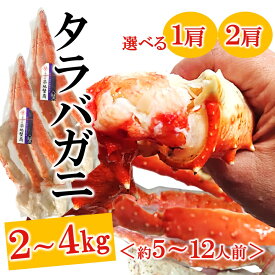 特大 タラバガニ 極太 たらばがに足 2kg 1肩 4kg 2肩 選べる ボイル カニ かに 蟹 たらばがに 年末 茹で 脚 たらば蟹 焼きガニ カニ鍋 国内加工 築地蟹商 まとめ買い 送料無料 贈答 ギフト お誕生日祝 御礼 御祝 BBQ ホームパーティー 母の日 父の日 プレゼント