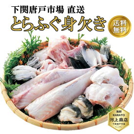 【下関とらふぐ】ふぐ 取り寄せ 下関 トラフグ 冷蔵 とらふぐ 身欠き 1本 2本 3本 フグ fugu 河豚 ふぐ刺し ふぐ鍋 ふぐちり てっちり ふぐ唐揚げ ふぐ料理 刺身 海鮮 てっさ 鍋 みがき ふぐ 送料無料 御祝 贈答品 お誕生日祝 ギフト プレゼント ホームパーティ 唐戸市場直送