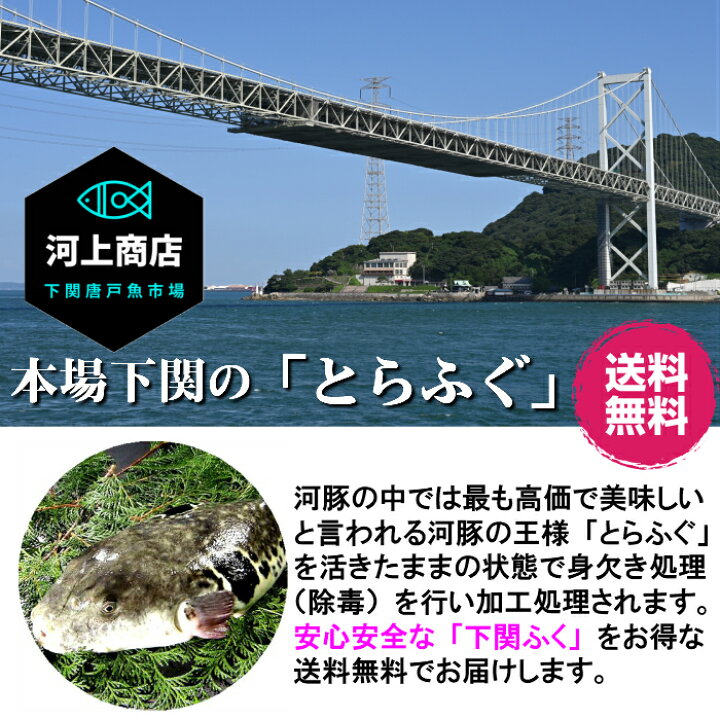 ランキングtop5 山口下関 ふぐ一夜干しと辛子明太子 内祝い ギフト 出産 結婚 快気 法事 Hadian Ir
