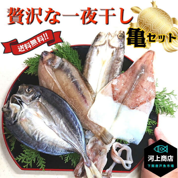 楽天市場 贅沢な一夜干し 干物セット 亀 送料無料 海鮮セット 海鮮ギフト プレゼント あじ いか かます ささがれい 厳選商品 q 一夜干し セット 海鮮グルメ 海鮮 詰め合わせ お取り寄せ 魚屋 山口県 下関唐戸市場 河上商店 河上商店 楽天市場店