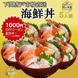 ＼1000円OFFクーポン！スーパーSALE期間中／海鮮丼 冷凍 5個 セット 海鮮 8種盛り 海鮮丼の具 刺身 マグロ 海鮮詰め合せ セット グルメ ギフト お誕生日祝 プレゼント お祝い 御礼 入学 卒業 ホームパーティー お取り寄せ 冷凍 送料無料 下関唐戸市場