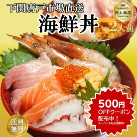 ＼500円OFFクーポン！配布中／海鮮丼 セット 2人前 送料無料 選べる丼 海鮮丼の具 個包装 冷凍 海鮮ちらし 炙り サーモン 4色丼 海鮮グルメ 刺身 マグロ うに いくら サーモン 8種ネタ 海鮮 ギフト 贈答 御祝 お誕生日祝 御礼 プレゼント ご挨拶 下関唐戸市場 ひな祭り
